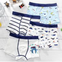 Boys Cotton Underwear