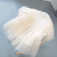 Girl Cute Sweet Princess Dress
