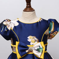 Girls' Princess Dress