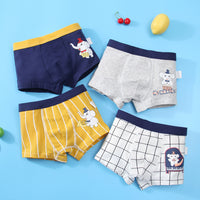 Boys Cotton Underwear