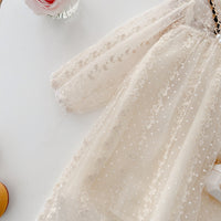 GIRLS Mesh Dress Lace Long Sleeve Dress