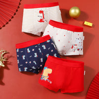 Boys Cotton Underwear