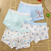 Boys Cotton Underwear